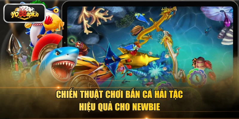 Chiến thuật chơi bắn cá hải tặc hiệu quả cho newbie Chiến thuật chơi bắn cá hải tặc hiệu quả cho newbie