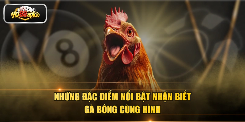Những đặc điểm nổi bật nhận biết bà bông cùng hình Những đặc điểm nổi bật nhận biết bà bông cùng hình